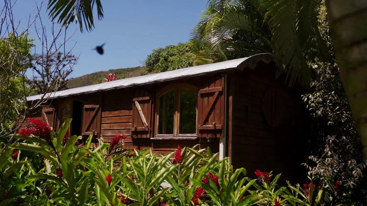 West Indies Cottage Pointe-Noire Campingplads